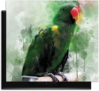 KitchenArt - Jungle Parrot - Inductie Beschermer - 52x35 cm - Kookplaat Beschermer - Luxe Afdekplaat Inductieplaat - Anti-slip & Oprolbaar - Beschermmat Inductiekookplaat