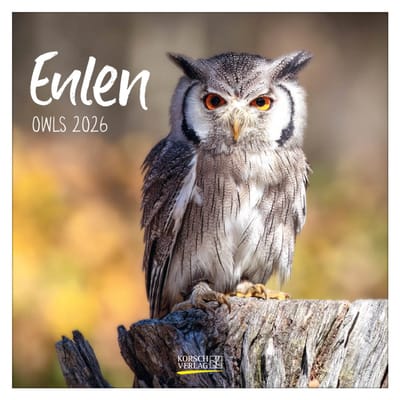Owls kalender - 2026
