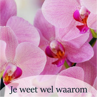 Luxe Bloemenkaartje - "Je weet wel waarom" - Cadeaukaartje - Bloemenlabel - Kaartje - 7x7 cm - 20 stuks - Met Boorgaatje