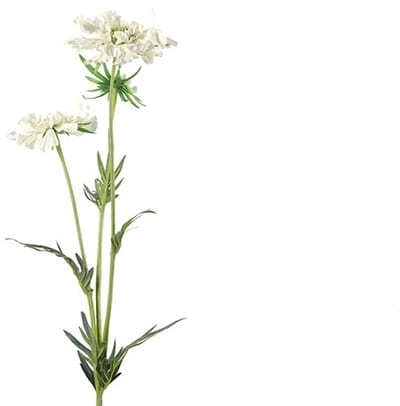 Countryfield Kunstbloem Scabiosa José crème