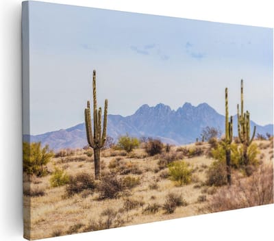 Artaza Canvas Schilderij Cactus - 30x20 cm - Klein - Wanddecoratie Woestijn - Muurdecoratie Amerika - Schilderijen Op Canvas Bergen