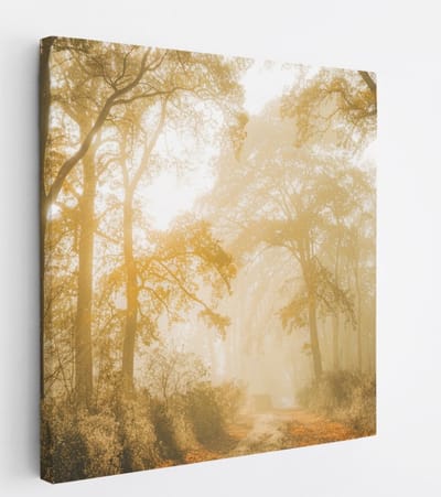 Saammp Canvas Schilderij - Lichtval tussen de Bomen - Landschap - Natuur - 20x20 - Foto op canvas - Wanddecoratie - Muurdecoratie Woonkamer - Slaapkamer decoratie - Canvas Print