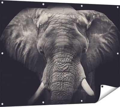 Gards Tuinposter Olifantenkop - Olifant - Zwart Wit - 120x90 cm - Tuindoek - Tuindecoratie - Wanddecoratie buiten - Tuinschilderij