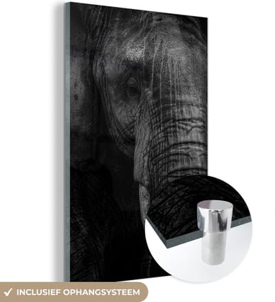 MuchoWow® Glasschilderij 120x180 cm - Schilderij acrylglas - Olifant - Dier - Portret - Foto op glas - Schilderijen