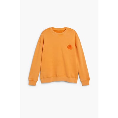 Junior Sweatshirt Desigual Arnold
