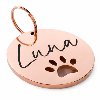By Ollies dierenpenning Rosé Goud - 30mm - RVS - met pootje - wandelen - hondenpenning