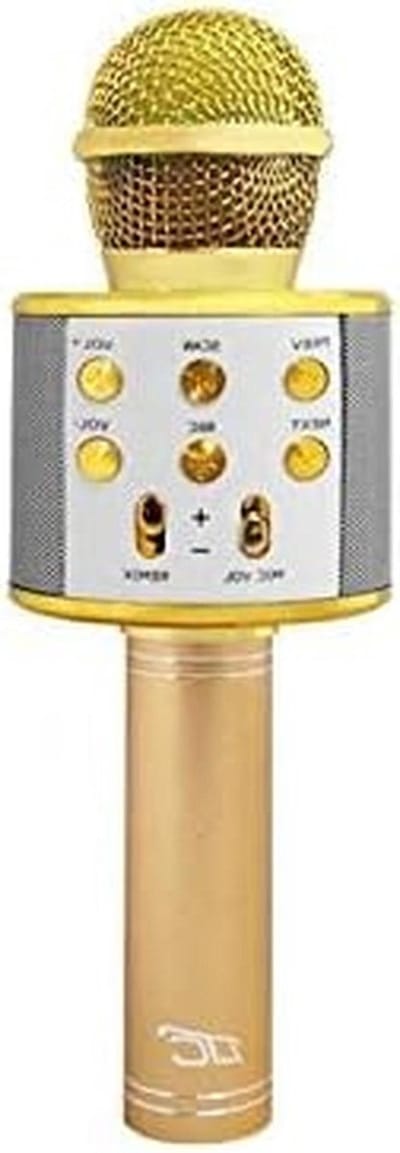 Draagbare Microfoon met Speaker - Karaoke Microfoon Bluetooth - Zingen en Opnemen - Ingebouwde FM Radio - 24 cm