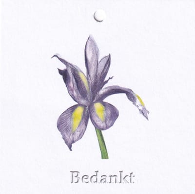 Bloemenkaartjes - 25 Stuks - Mini Kaartjes - 25 stuks - 7 x 7 cm - Bloemist - Kadootjes - Bedankt - JK-158