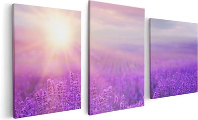 Artaza Canvas Schilderij Drieluik Bloemenveld Met Paarse Lavendel  - 120x60 - Foto Op Canvas - Canvas Print