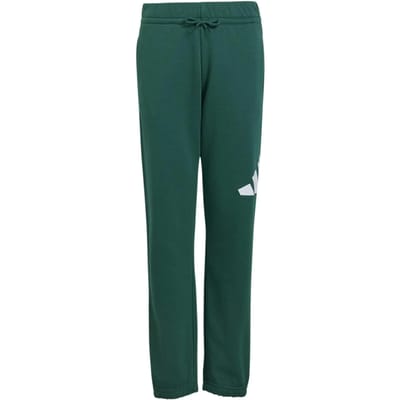 Adidas Essentials Big Logo French Terry Joggers Groen 15-16 Years Kinderen