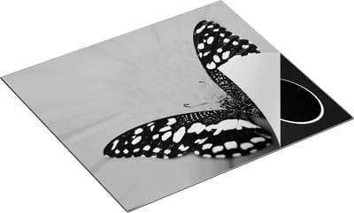 Chefcare Inductie Beschermer Vlinder op een Oranje Bloem - Zwart Wit - 60x50 cm - Afdekplaat Inductie - Kookplaat Beschermer - Inductie Mat