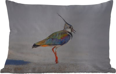 Buitenkussens - Tuin - Vogel - Dieren - Zand - Kievit - 50x30 cm
