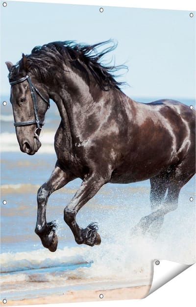 Gards Tuinposter Zwart Paard in het Water - 90x120 cm - Tuindoek - Tuindecoratie - Wanddecoratie buiten - Tuinschilderij