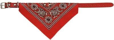 Adori Halsband Met Zakdoek Rood - Hondenhalsband - 50x1.8 cm