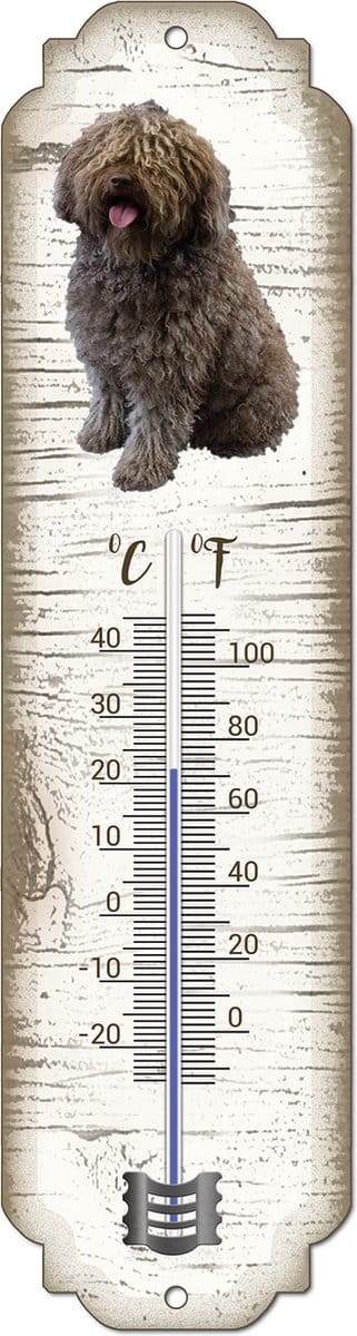 Thermometer: Spaanse Waterhond | Hondenras | Temperatuur binnen en buiten | -25 tot +45C