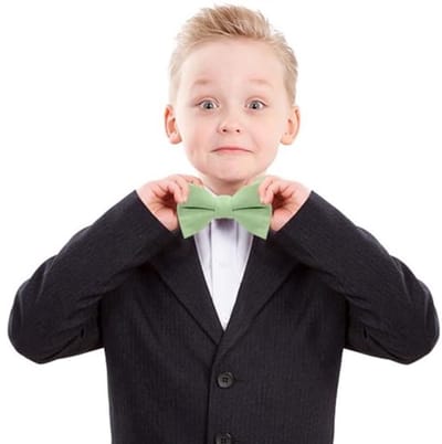 1 Vlieg, Jongensbanden, Monochrome Verstelbare Vlieg, Elastische Vlieg, Kingaccessoires, Dansdecoraties Van Schoolfeestjes