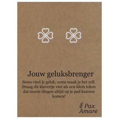 Stainless Steel Klavertje Vier Oorbellen op Cadeau Kaartje - Jouw geluksbrenger - ± 10x10mm Oorknopjes Zilverkleurig Roestvrij Staal - Pax Amare