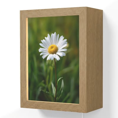 Wandlamp 15x20 cm - Oplaadbaar - Wit - Madeliefje - Bloem - Gras - Wandlampen binnen woonkamer - Slaapkamer lamp met kabel - Decoratieve nachtlamp - Vloerlamp snoer