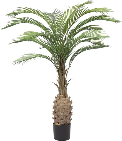 Kunst Palmboom Goa | 140cm – Bottle Palm – Ananas Palm – Nep Phoenix Palm – Real Touch – Deluxe Kunstpalm