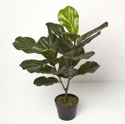 Homescapes Kunstplant Vioolbladplant (Ficus lyrata) in Pot – 75 cm – Groen – UV-bestendig