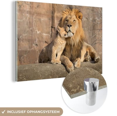 MuchoWow® Glasschilderij 60x40 cm - Schilderij acrylglas - Leeuwen - Stenen - Portret - Foto op glas - Schilderijen