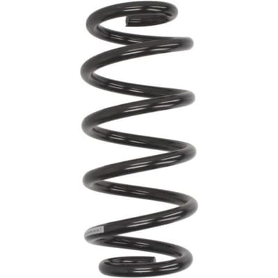 Chassisveer SACHS 993 558