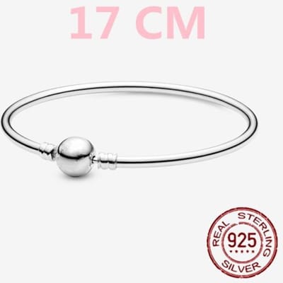 Verkoop 925 Sterling Zilver Moments Mesh Armband Slangenketting Bedel Kralen Armband Voor Vrouwen Mode Doe-het-zelf Sieraden 6 Stijlen white