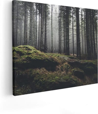 Artaza Canvas Schilderij Bos - 100x80 cm - Groot - Wanddecoratie Mistig Bos - Muurdecoratie Bomen - Schilderijen Op Canvas Natuur