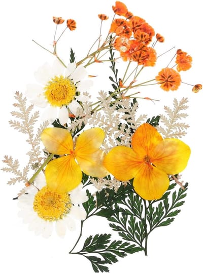 Gedroogde bloemen - Geperste bladeren - Ambachtelijk project - Natuurlijke schoonheid - 13 x 9 cm - Oranje
