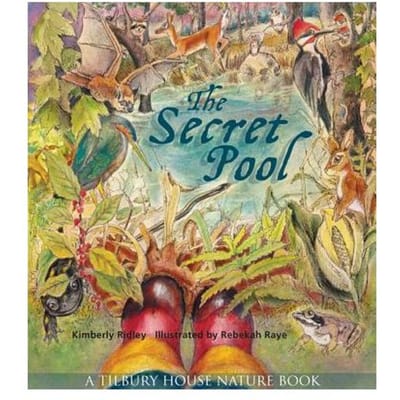 The Secret Pool - Kimberly Ridley
