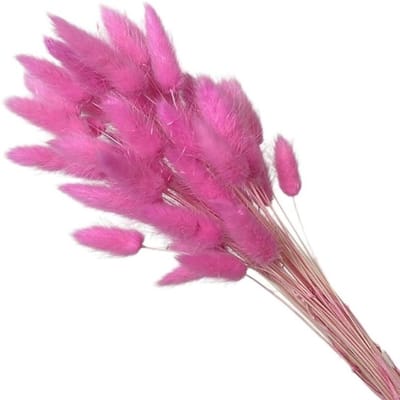 Gedroogd Pampasgras - Droogbloemen Boeket - Huis Decoratie - Natuurlijke Stijl - 50 Stuks - Donkerroze
