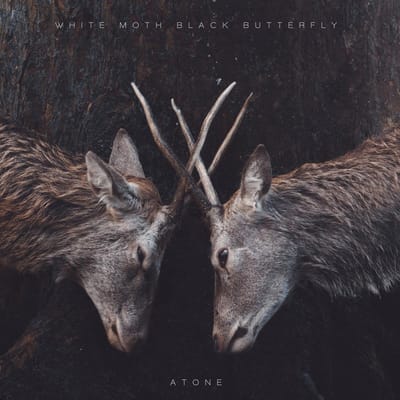 Atone - White Moth Black Butterfly