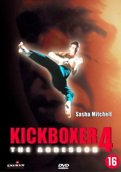Kickboxer 4