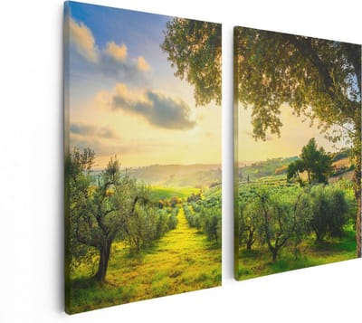 Artaza Canvas Schilderij Tweeluik Olijvenbomen - Olijvengaard - 80x60 - Foto Op Canvas - Canvas Print