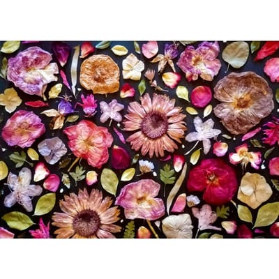 1000-delige Puzzel: Gedroogde Bloemen, Merkloos