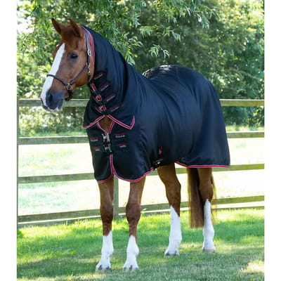 Droogdeken voor paarden met halsbedekking Premier Equine