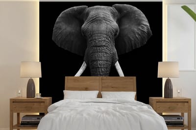 Behang - Fotobehang Olifant - Wilde dieren - Zwart - Wit - Portret - Breedte 220 cm x hoogte 220 cm