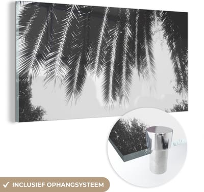 MuchoWow® Glasschilderij 40x20 cm - Schilderij acrylglas - Palmbladeren - Tropisch - Zon - Palmboom - Foto op glas - Schilderijen