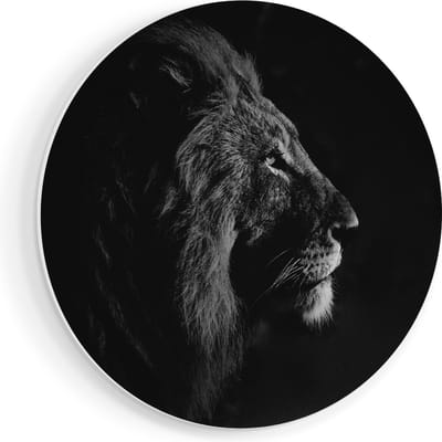 Artaza Forex Muurcirkel Leeuw - Leeuwenkop - 90x90 cm - Groot - Wandcirkel - Rond Schilderij - Muurdecoratie Cirkel