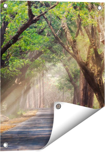 Gards Tuinposter Weg Omringd met Bomen - 40x50 cm - Tuindoek - Tuindecoratie - Wanddecoratie buiten - Tuinschilderij