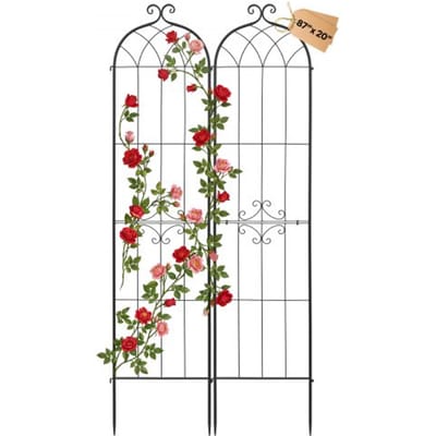 VEVOR Klimrek, 220x52,5 cm, 2-pack, Metalen klimrek met poedercoating en vergrendelingsmechanisme, klimsteun, tuinrek, plantensteun voor bloemen, groenten en rozen