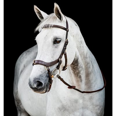 Anatomisch hoofdstel Horseware Micklem Multi