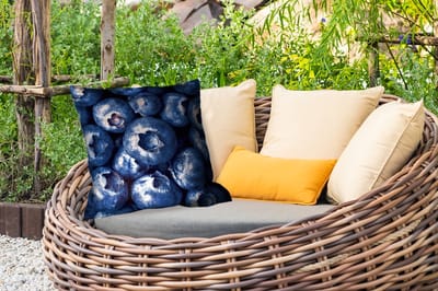 Buitenkussen Weerbestendig - Bessen - Blauw - Fruit - 50x50 cm