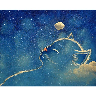 Peinture au Diamant 5D DIY Chat Endormi Dessin Animé Point de Croix Broderie Diamant 20X30CM blue