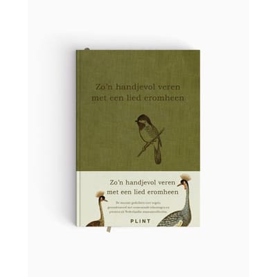 Zo'n Handjevol Veren Met Een Lied Eromheen - Plint - Dichters