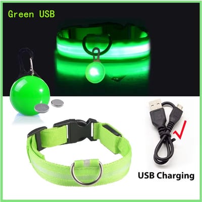 USB Oplaadbare Lichtgevende Hondenhalsband – LED Halsband voor Kleine Honden en Katten - Nachtveiligheid Halsband met Afneembare Pendant - Groen