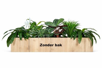 Kunstplantenpakket Enkhuizen (t.b.v. kast 160 cm breed)