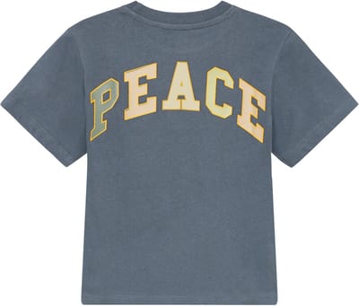 Noppies T-shirt - Backprint - Turbulence - Maat 110