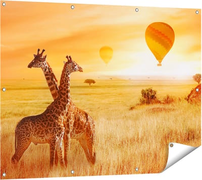 Gards Tuinposter Twee Giraffen met Twee Oranje Luchtballonnen - 120x90 cm - Tuindoek - Tuindecoratie - Wanddecoratie buiten - Tuinschilderij