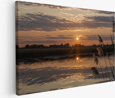 Saammp Muurcirkel Hout - Vos in het bos - Natuur - Dieren - Ø 90 - Wandcirkel - Wanddecoratie Cirkel - Muurdecoratie Woonkamer - Slaapkamer decoratie - Rond Schilderij